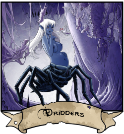 Dridders